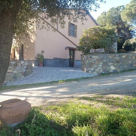 Agriturismo Il Pozzo Campagnatico Εξωτερικό φωτογραφία